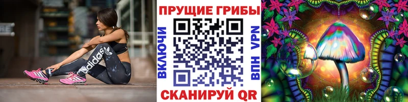хочу   Ильский  гидра ONION  Псилоцибиновые грибы мицелий 