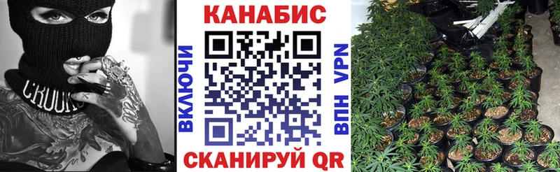 Конопля марихуана  где купить наркотик  omg как зайти  Ильский 